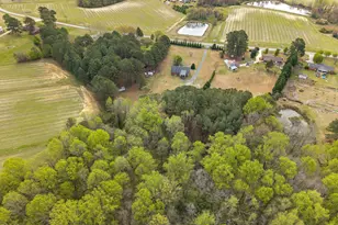 2265 Bud Lipscomb Rd, Willow Springs, NC 27592 - Photo 67