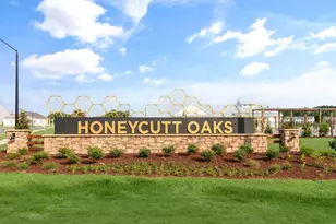 36 Green Laurel Dr, Angier, NC 27501 - Photo 35