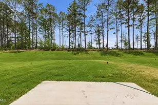 1140 Lancashire Grv Pl, Willow Springs, NC 27592 - Photo 27