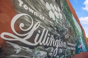 128 Carrie Dr, Lillington, NC 27546 - Photo 7