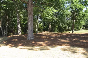 306 S Elm St, Creedmoor, NC 27522 - Photo 29