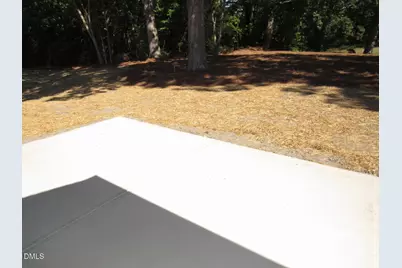 306 S Elm Street, Creedmoor, NC 27522 - Photo 27