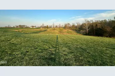 2.97 Acres Jones Road, Hurdle Mills, NC 27541 - Photo 3