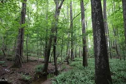 1232 Rivermead Lane, Wake Forest, NC 27587 - Photo 23