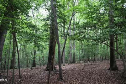 1232 Rivermead Lane, Wake Forest, NC 27587 - Photo 27