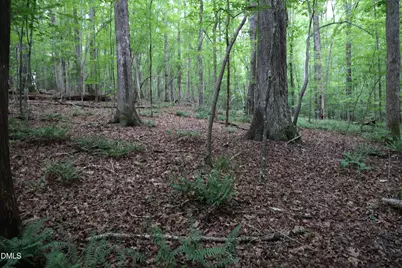 1232 Rivermead Lane, Wake Forest, NC 27587 - Photo 25