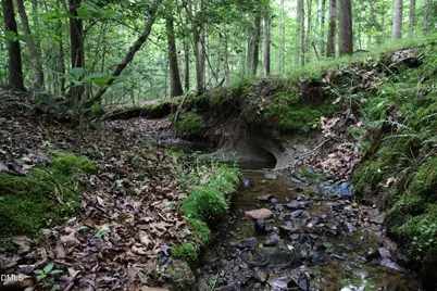 1232 Rivermead Lane, Wake Forest, NC 27587 - Photo 15