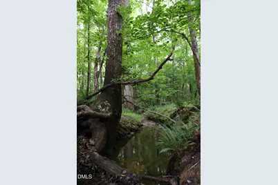 1232 Rivermead Lane, Wake Forest, NC 27587 - Photo 19