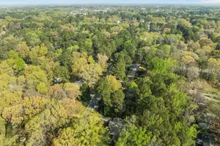 925 Warren Ave, Cary, NC 27511 - Photo 49