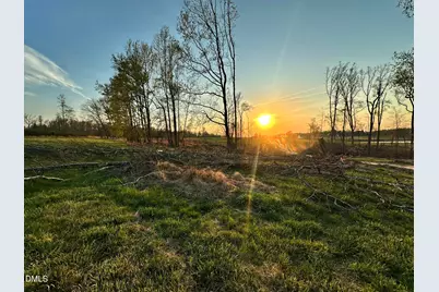 6.62 Acres Jones Road, Hurdle Mills, NC 27541 - Photo 5