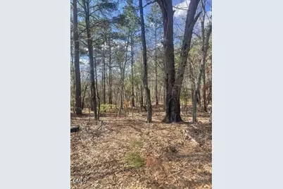 0 N Horace Walters Road, Raeford, NC 28376 - Photo 5