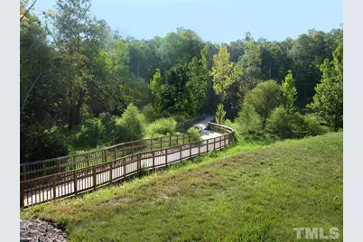 117 Deardom Way, Chapel Hill, NC 27516 - Photo 37