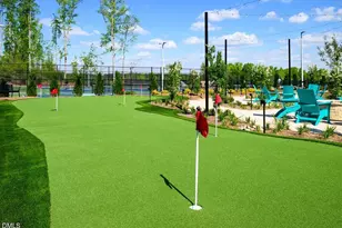 121 Tantara Bnd, Pittsboro, NC 27312 - Photo 33