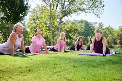 121 Tantara Bend, Pittsboro, NC 27312 - Photo 47