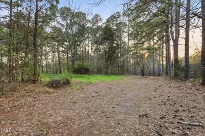 3157 Colon Road, Sanford, NC 27330 - Photo 3