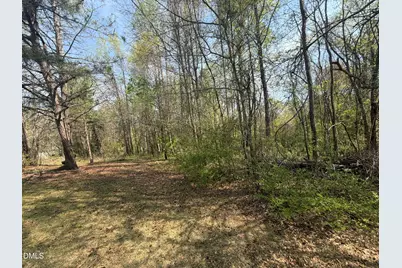 73 Hall Road, Erwin, NC 28339 - Photo 7