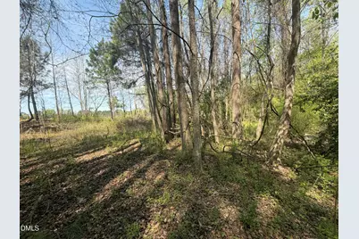 73 Hall Road, Erwin, NC 28339 - Photo 5