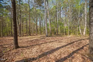 110 Vintage Hill Cir, Apex, NC 27539 - Photo 53