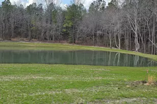 115 Water Willow Ln, Zebulon, NC 27597 - Photo 29