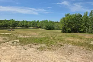 115 Water Willow Ln, Zebulon, NC 27597 - Photo 23