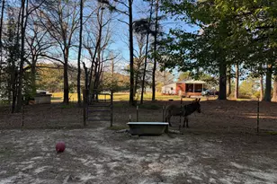 3032 Federal Rd, Benson, NC 27504 - Photo 11