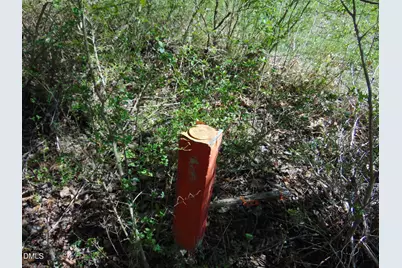 1139 Waterstone Lane, Henderson, NC 27537 - Photo 7