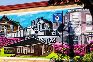 147 Vaughan Farms Dr, Angier, NC 27501 - Photo 37