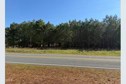 910 Festus Road, Coats, NC 27521 - Photo 3
