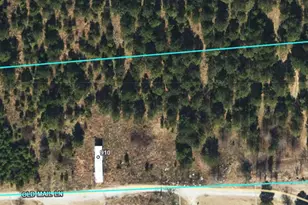 910 Festus Rd, Coats, NC 27521 - Photo 1