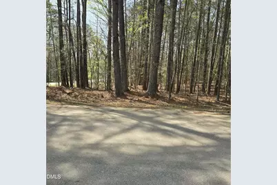 133 Sequoia Drive, Louisburg, NC 27549 - Photo 1