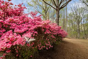 484 Shiloh Church Rd, Roxboro, NC 27574 - Photo 59