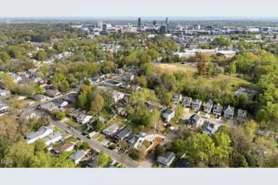 217 Moline, Durham, NC 27707 - Photo 29