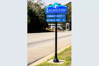 59 Sea Palm Court, Lillington, NC 27546 - Photo 27