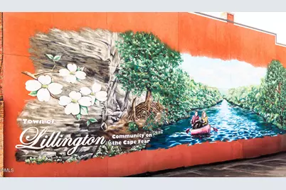 59 Sea Palm Court, Lillington, NC 27546 - Photo 5