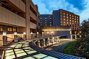 1053 Zelkova Ln, Durham, NC 27517 - Photo 27