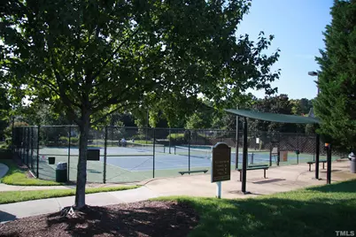 115 Tortoise Lane, Morrisville, NC 27560 - Photo 29