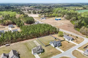 64 Widgeon Way, Lillington, NC 27546 - Photo 53