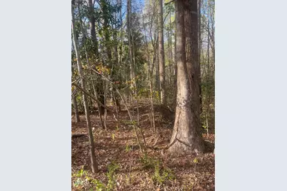 0 Ed Lane, Carthage, NC 28327 - Photo 3