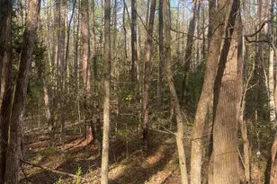 0 Ed Ln, Carthage, NC 28327 - Photo 1