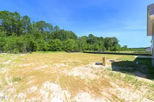 79 Ambrosia Wy, Bunnlevel, NC 28323 - Photo 31