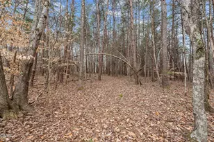 8729 Allison Rd, Cedar Grove, NC 27231 - Photo 53