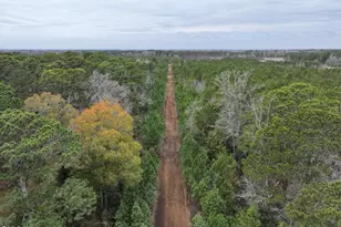 00 U S 117, Wilson, NC 27893 - Photo 1