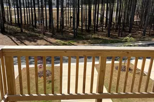 453 Carolina Springs Blvd Blvd, Apex, NC 27539 - Photo 31