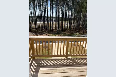 453 Carolina Springs Blvd Boulevard, Apex, NC 27539 - Photo 29