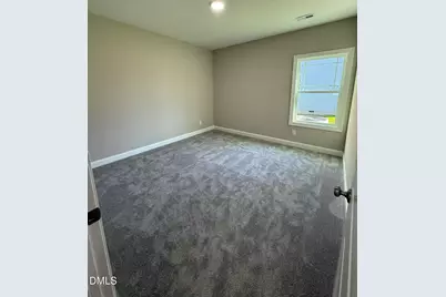 70 Hot Springs Way, Benson, NC 27504 - Photo 19