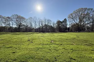 70 Hot Spgs Wy, Benson, NC 27504 - Photo 29