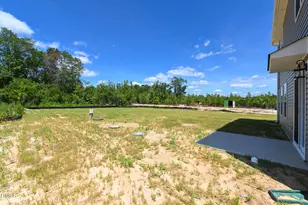 207 Ambrosia Wy, Bunnlevel, NC 28323 - Photo 29