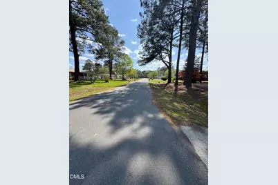 201 Carolyn Drive, Selma, NC 27576 - Photo 19