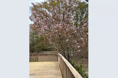 429 Butts Road, Angier, NC 27501 - Photo 49