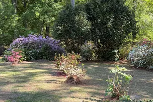 429 Butts Rd, Angier, NC 27501 - Photo 71